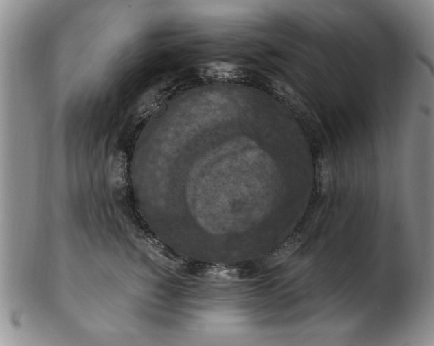 X0000103140760200809051614