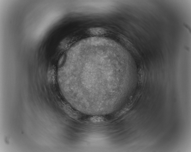 X0000103140762200809051614