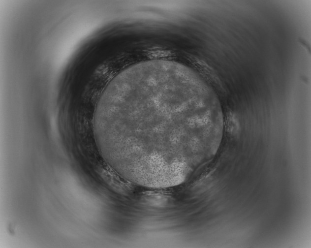 X0000103140763200809051614