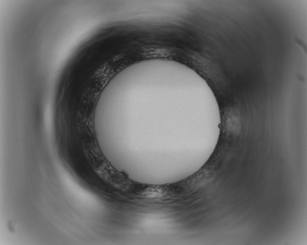 X0000103140764200809051614