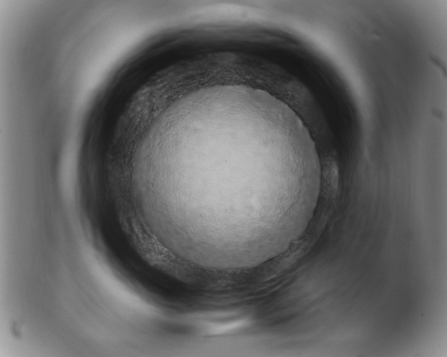 X0000103140765200809051614