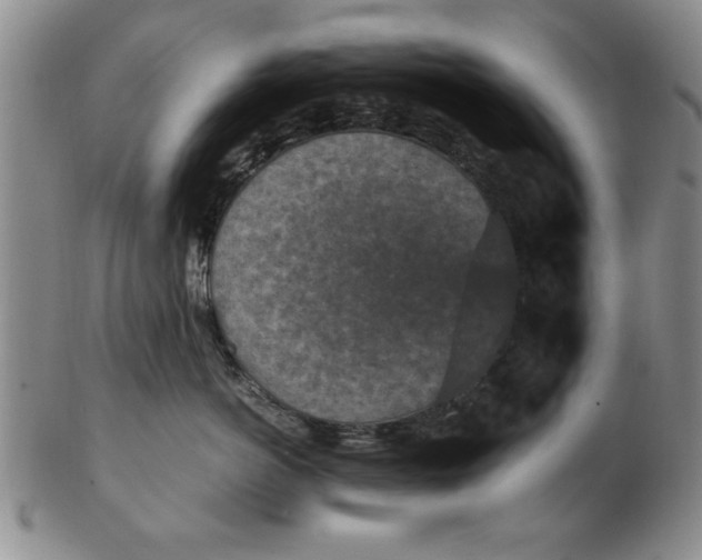 X0000103140766200809051614