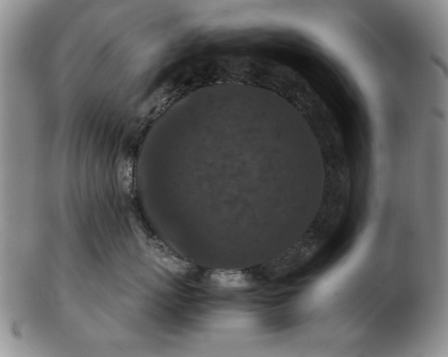 X0000103140767200809051614