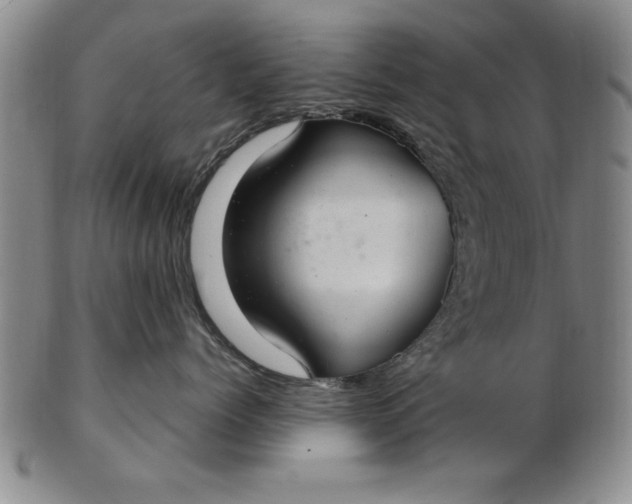 X0000103140768200809051614