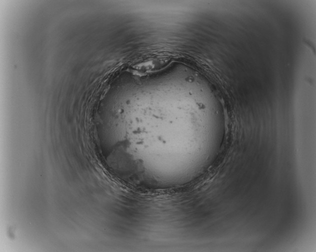 X0000103140769200809051614