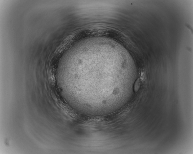 X0000103140771200809051614