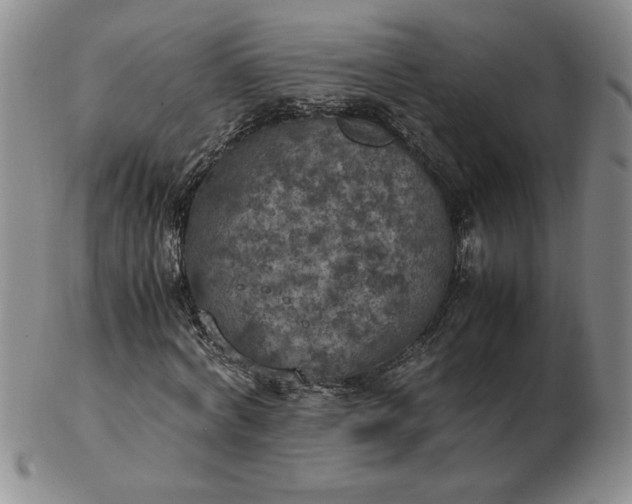 X0000103140772200809051613