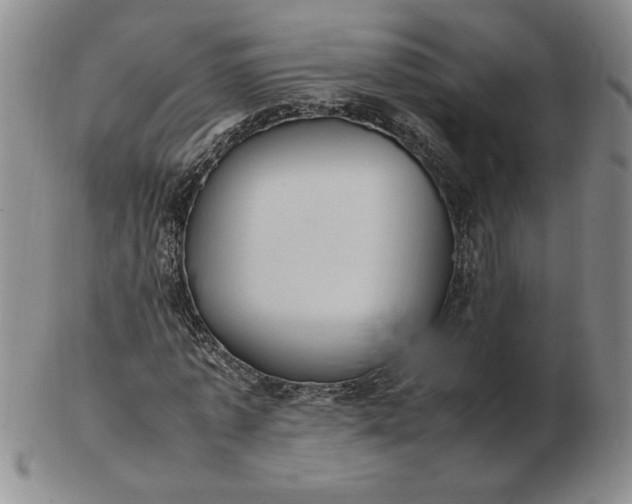 X0000103140773200809051613