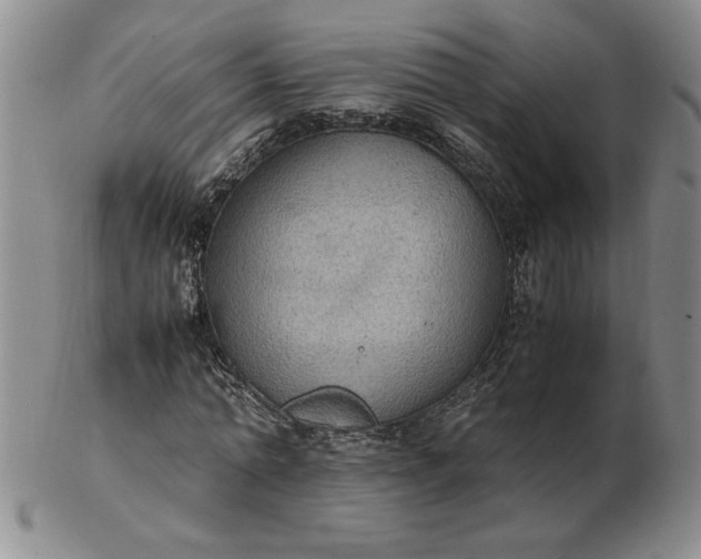 X0000103140774200809051613