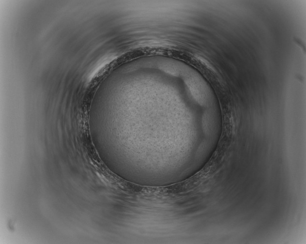 X0000103140775200809051613