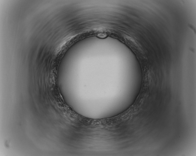 X0000103140776200809051613