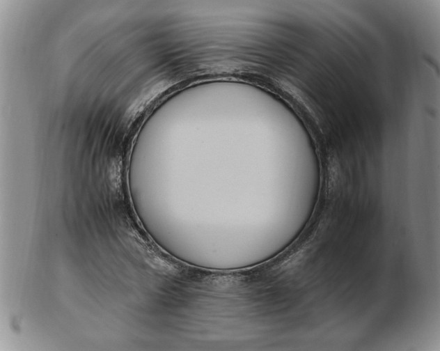 X0000103140778200809051613