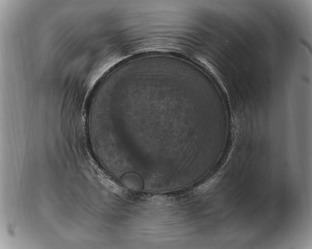 X0000103140779200809051613