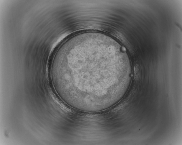 X0000103140780200809051613