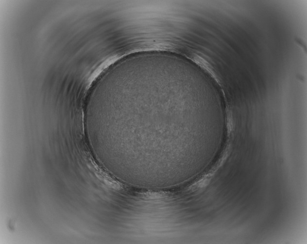 X0000103140781200809051613