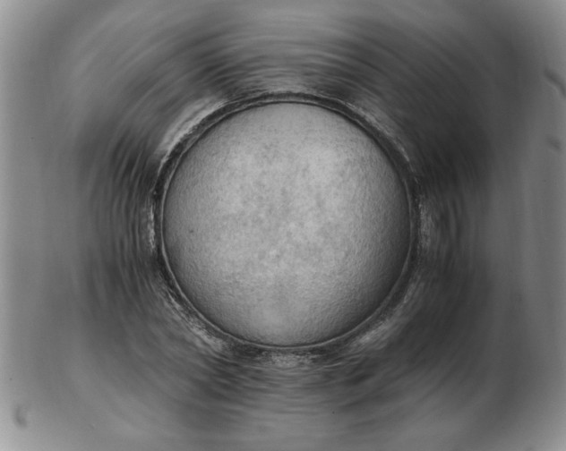 X0000103140782200809051613