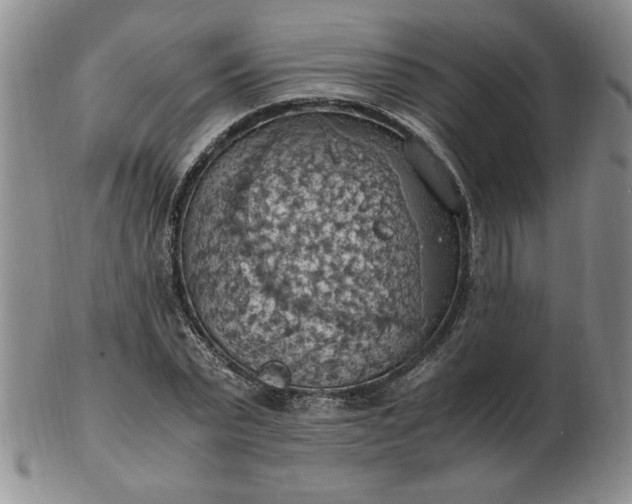 X0000103140783200809051613