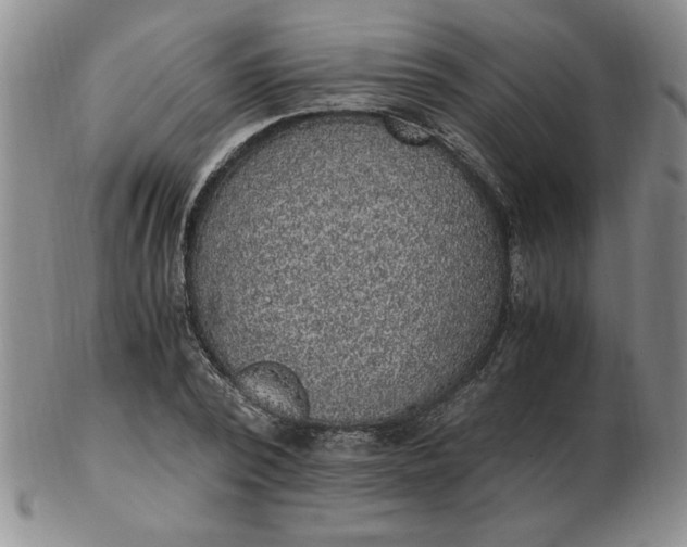 X0000103140784200809051613