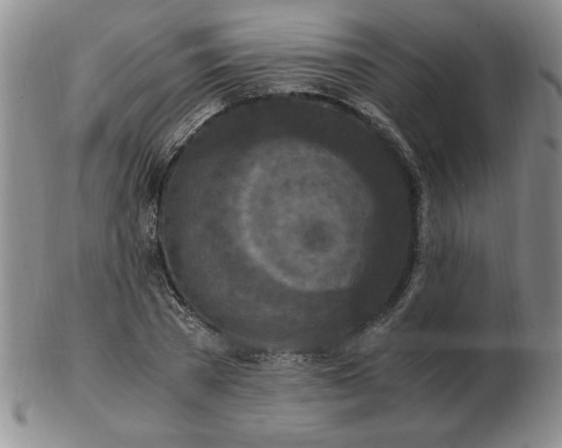 X0000103140785200809051613