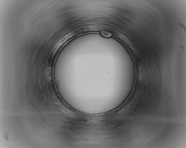 X0000103140786200809051613