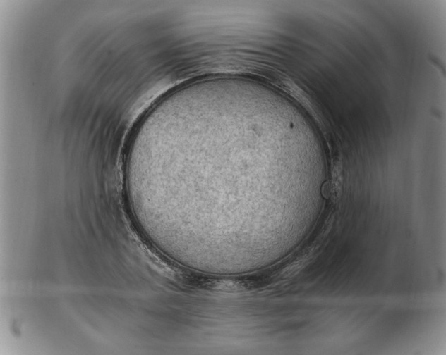 X0000103140787200809051613