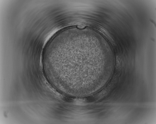 X0000103140788200809051613