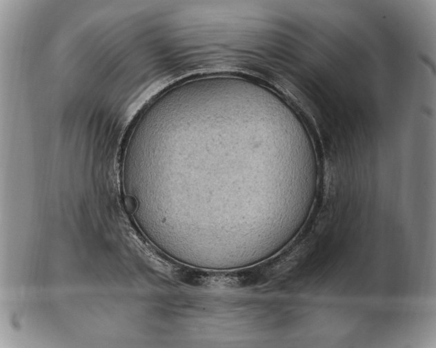 X0000103140789200809051613