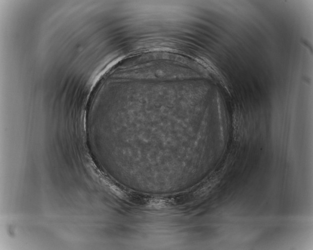 X0000103140790200809051613