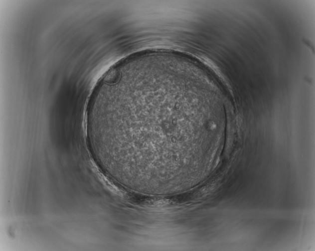 X0000103140791200809051613