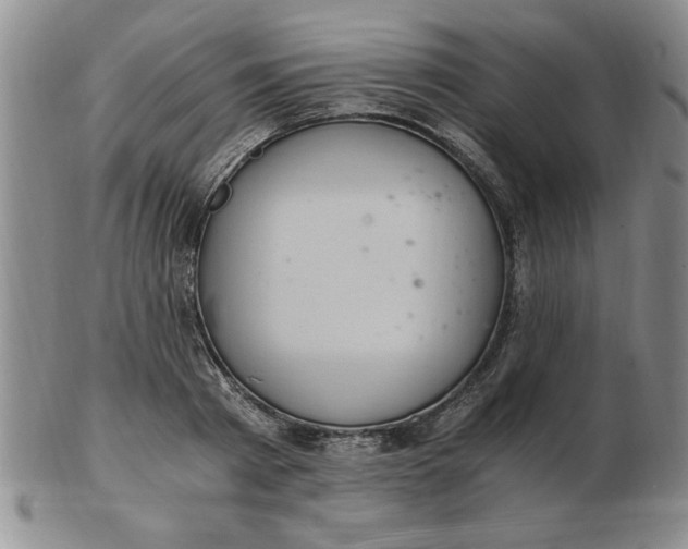 X0000103140793200809051613