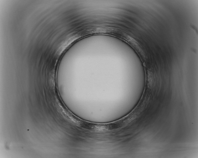 X0000103140794200809051613