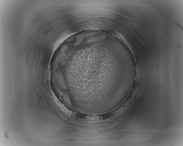 X0000103140795200809051613