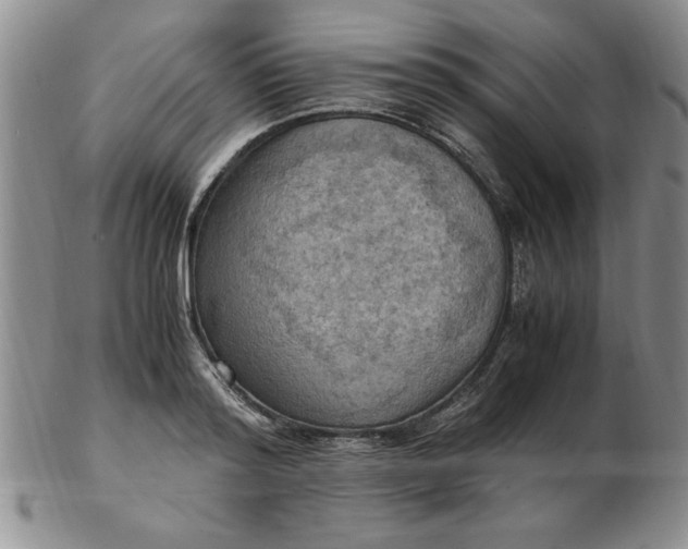 X0000103140796200809051613