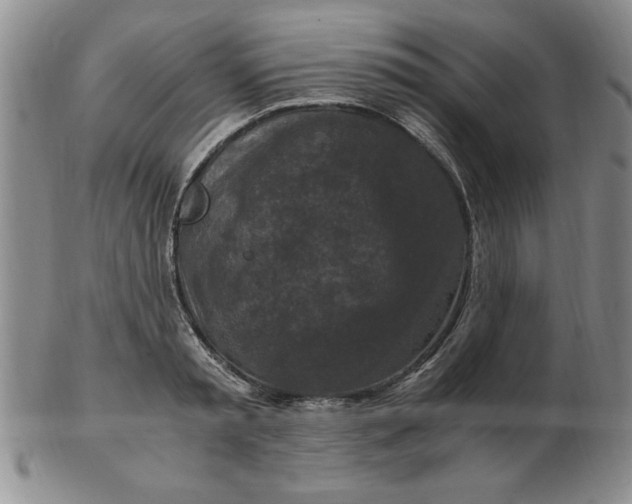 X0000103140797200809051613