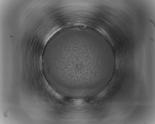 X0000103140798200809051613