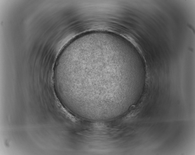 X0000103140799200809051613