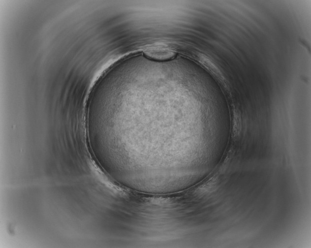 X0000103140800200809051613