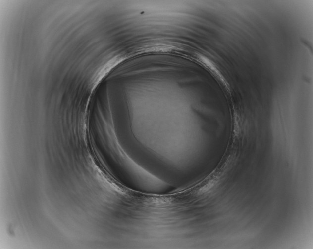 X0000103140802200809051613