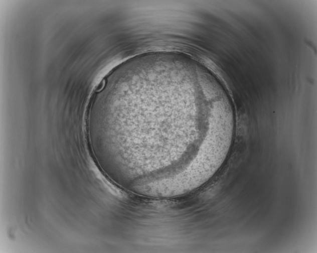 X0000103140803200809051613