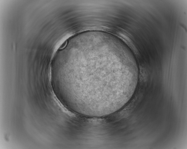 X0000103140804200809051613