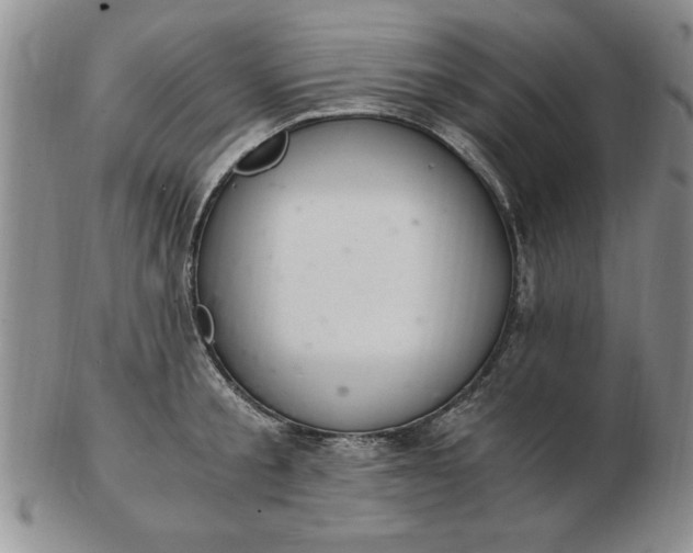 X0000103140805200809051613