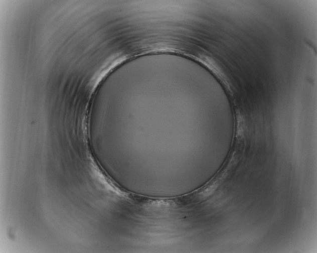 X0000103140806200809051613