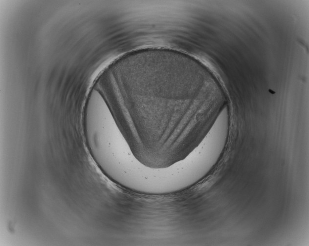 X0000103140807200809051613