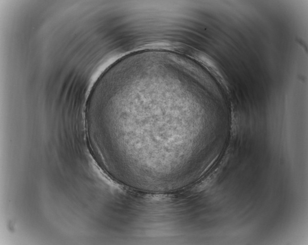 X0000103140808200809051613