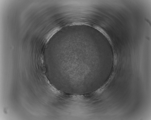 X0000103140809200809051613