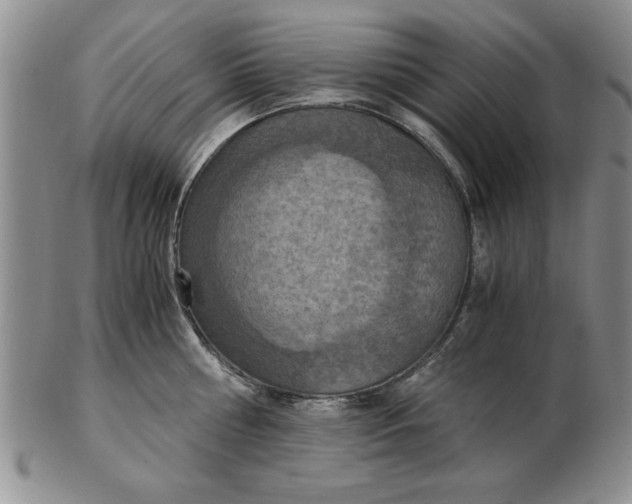 X0000103140810200809051613