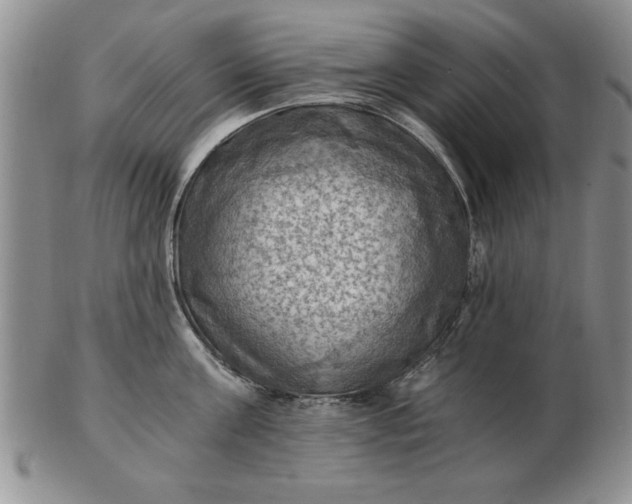 X0000103140811200809051613