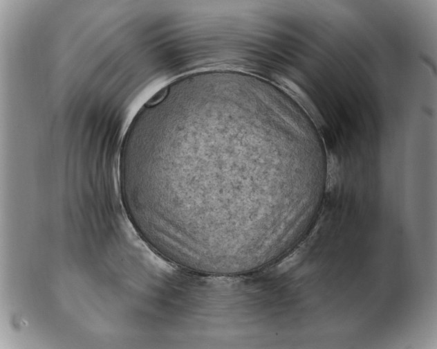 X0000103140812200809051613