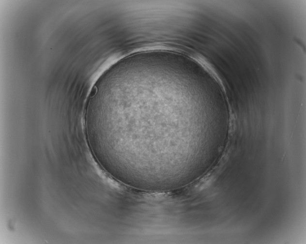 X0000103140813200809051613