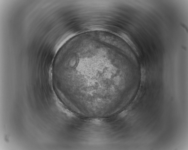 X0000103140814200809051613